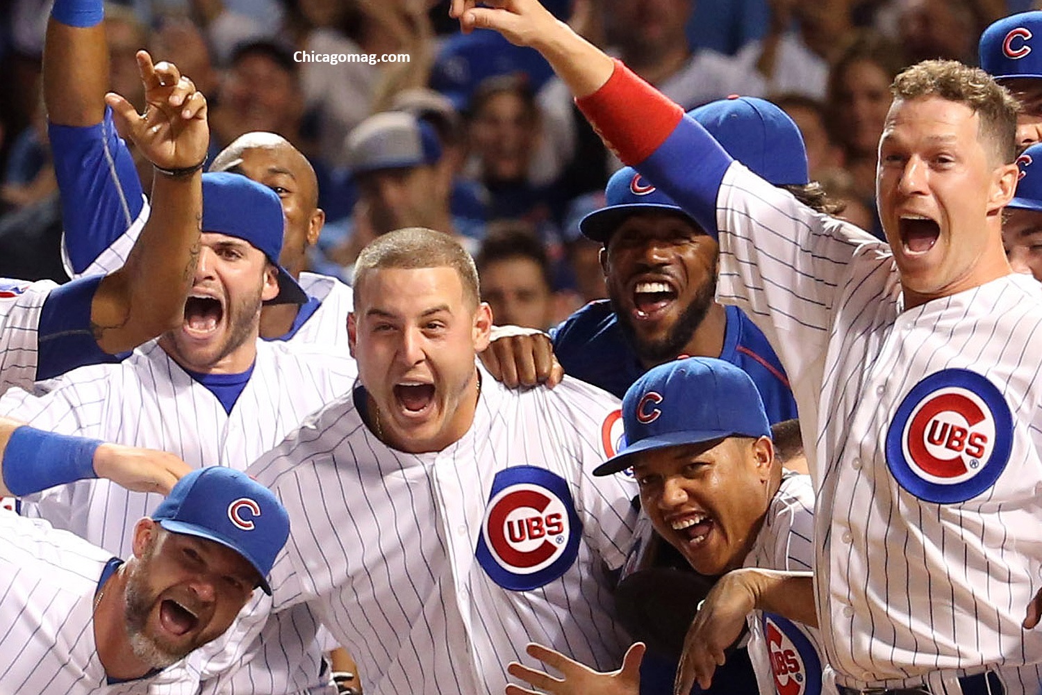 cubs win world series